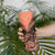 New Zealand Skinny Tumbler Aotearoa Maori Kiwi Orange Fern