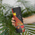 Papua New Guinea Skinny Tumbler Bird Of Paradise With Tropical Flower