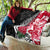 New Zealand and England Rugby Quilt Silver Fern With Red Rose World Cup 2023 LT01 - Polynesian Pride