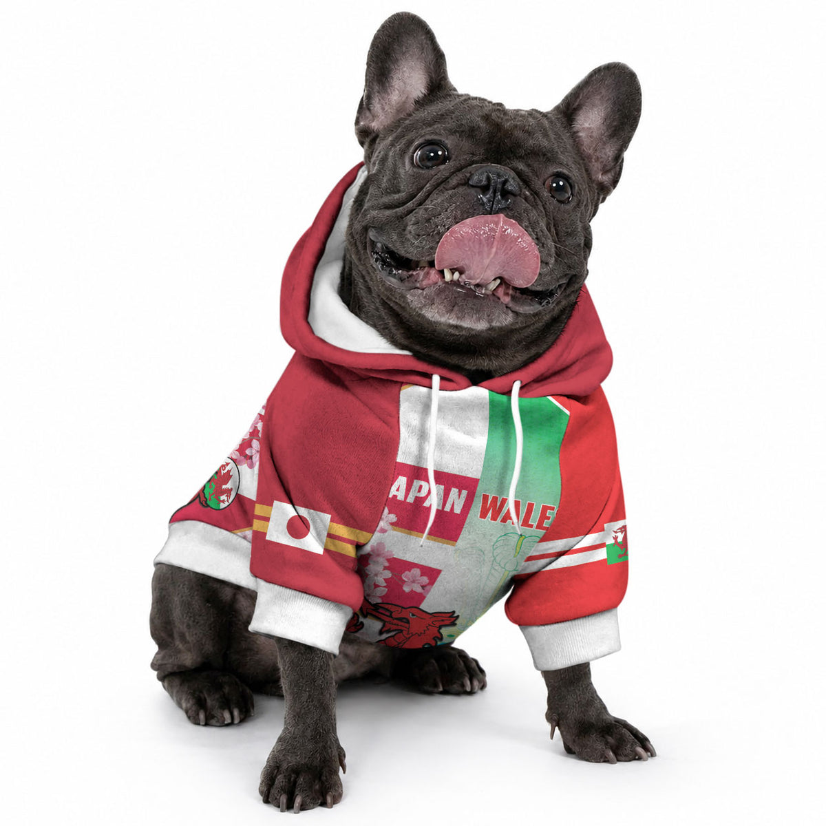 Japan and Wales Rugby Custom Pet Hoodie Brave Blossoms Welsh Dragon Together LT14 - Polynesian Pride