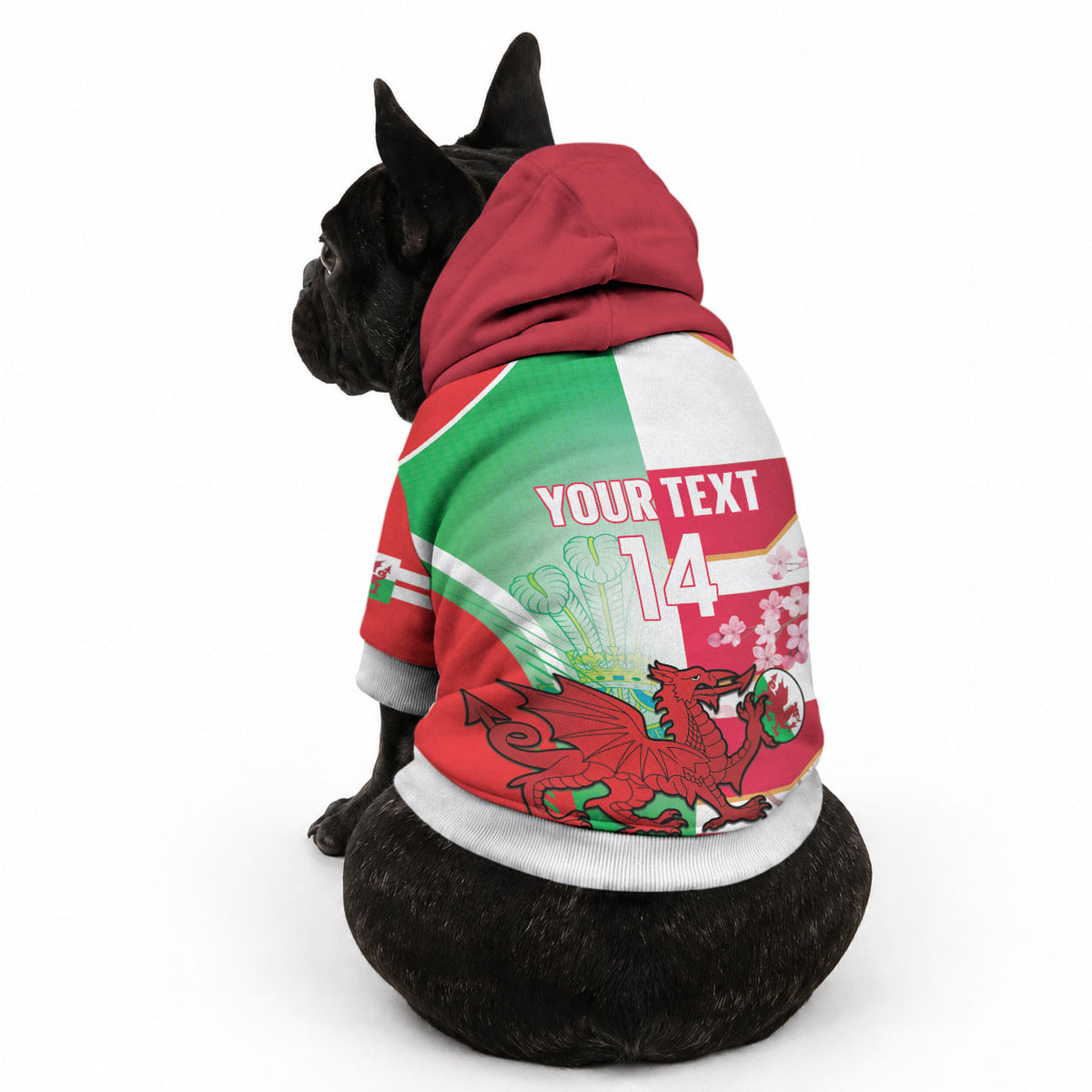 Japan and Wales Rugby Custom Pet Hoodie Brave Blossoms Welsh Dragon Together LT14 - Polynesian Pride