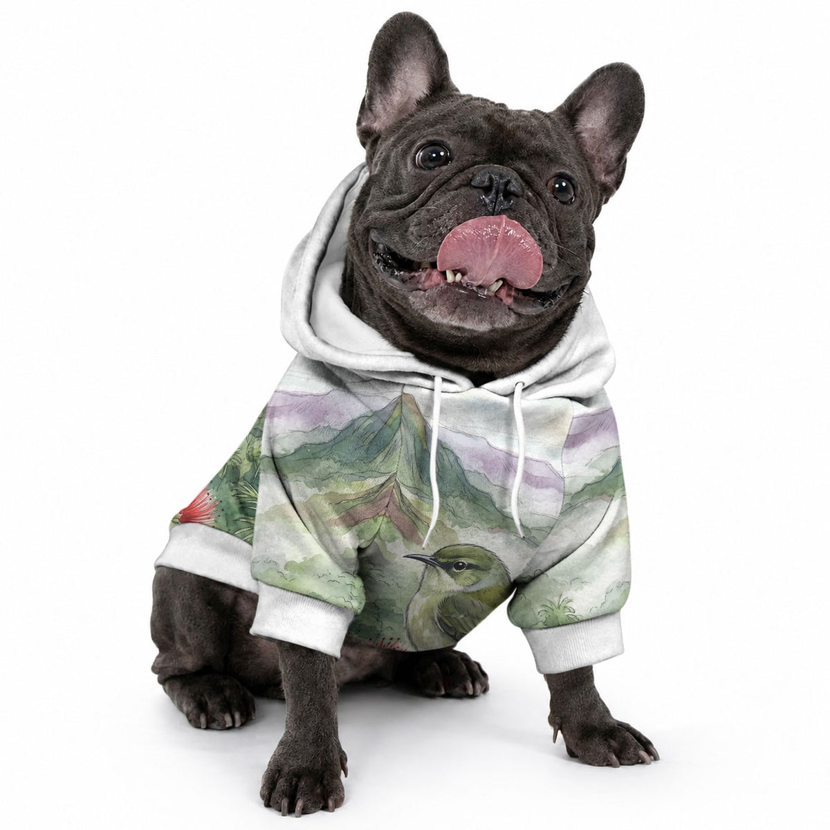Aloha Hawaii Creeper Ohia Lehua Watercolor Pet Hoodie LT14 - Polynesian Pride