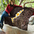 Brown Polynesia Quilt Plumeria Tropical Leaves With Galaxy Polynesian Art LT14 - Polynesian Pride